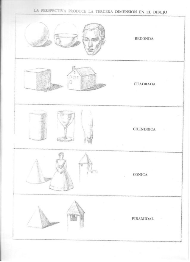 dibujo tridimensional loomis